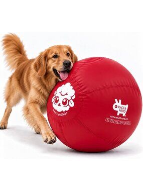 30" Herding Ball Set - Durable Cover, Inner Ball & Pump for Training & Play